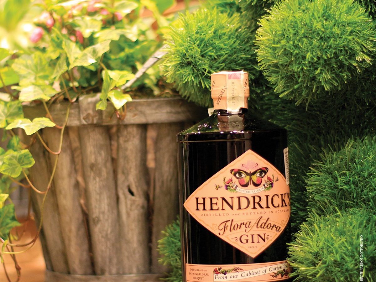 Hendrick’s Odd Party