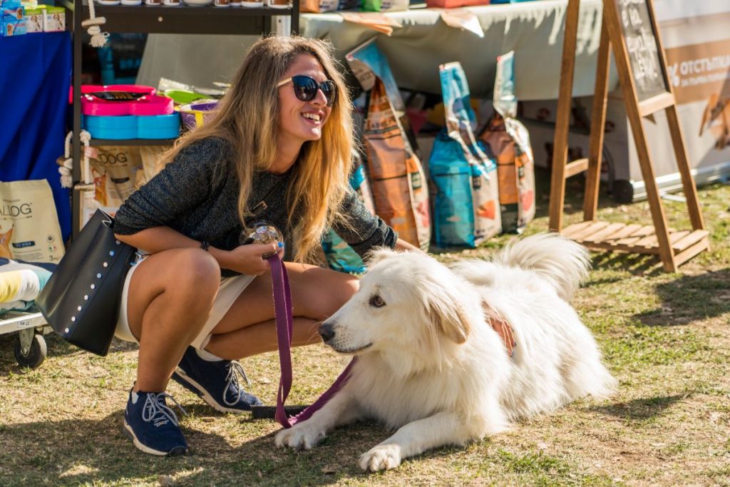 Dog Fest 2023