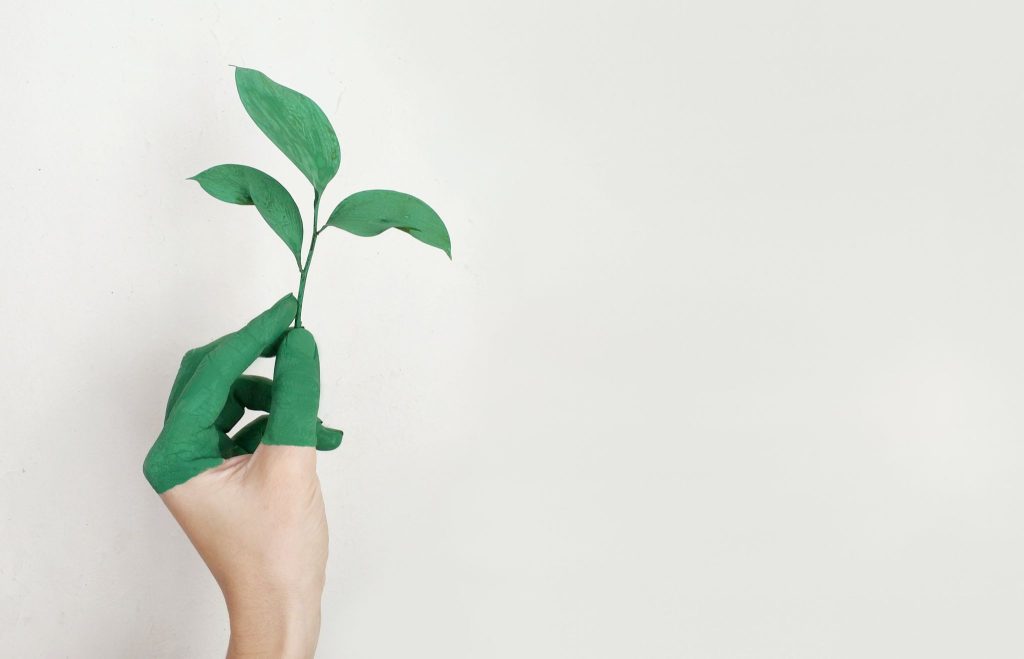 GROWTOGETHER.ONE