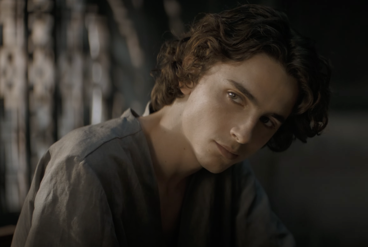 Timothee Chalamet 3