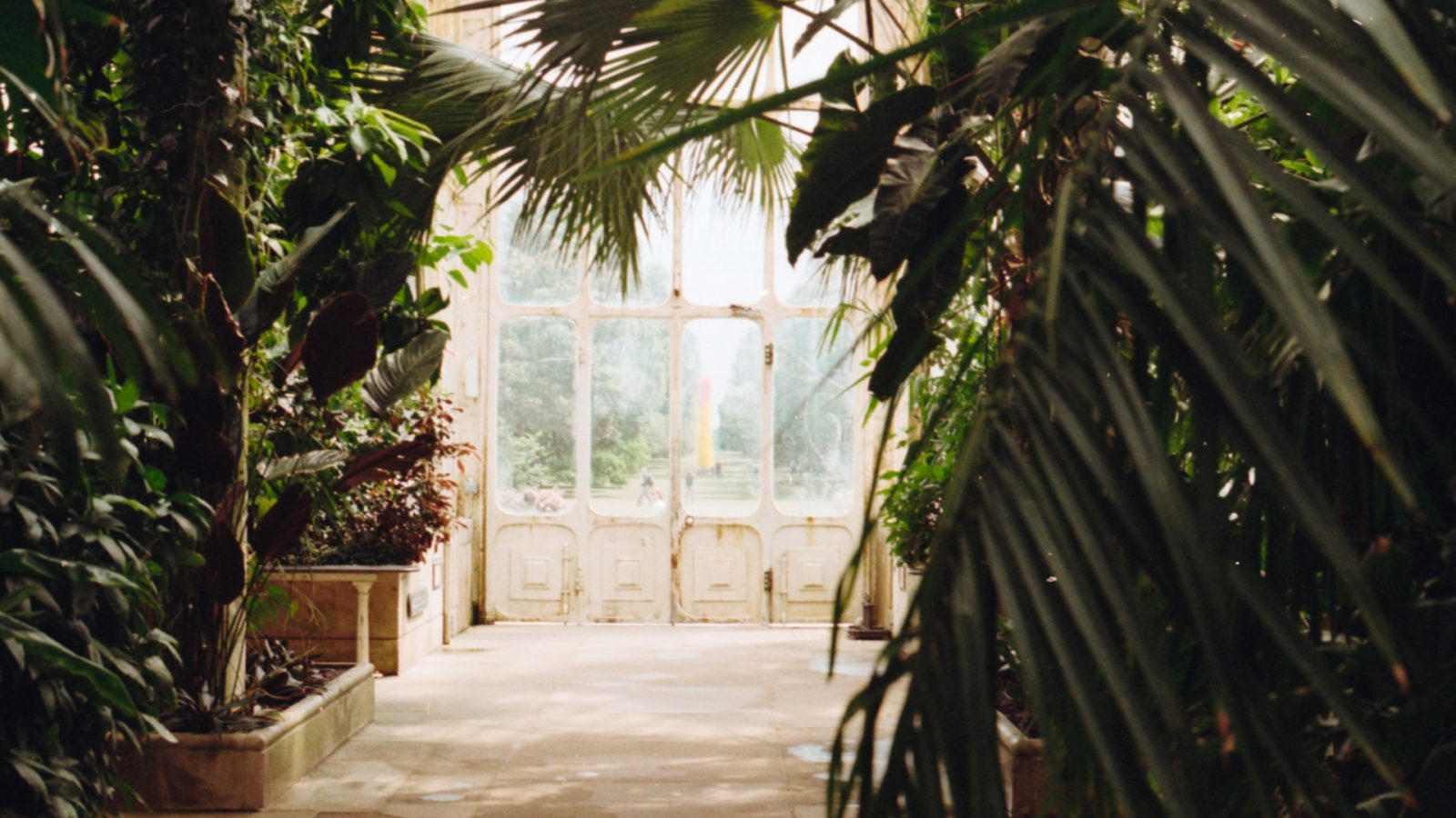 botanic garden