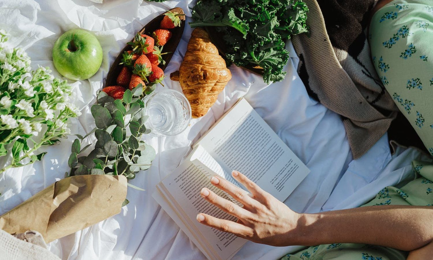 Reading Book Outdoors