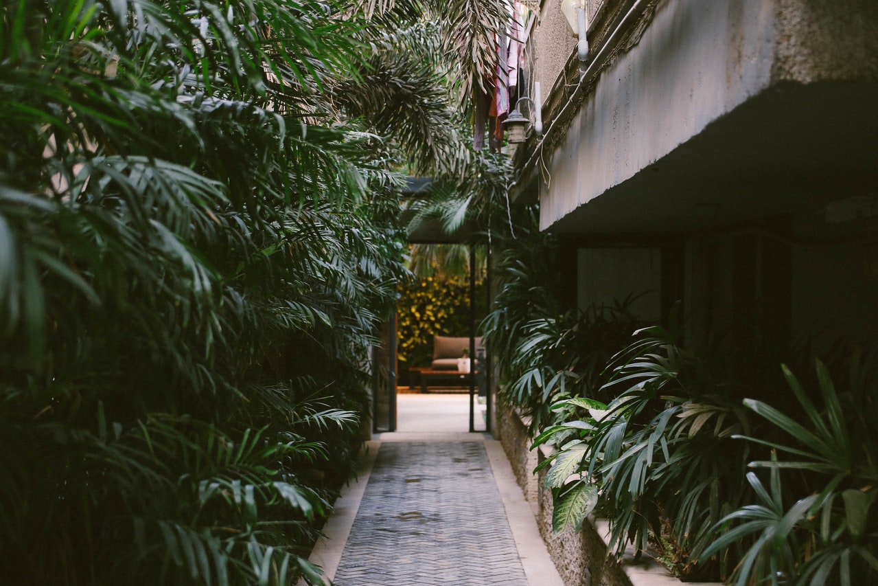 garden