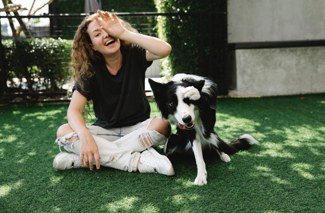 happy dogs