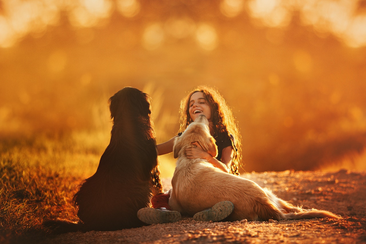 dog and person