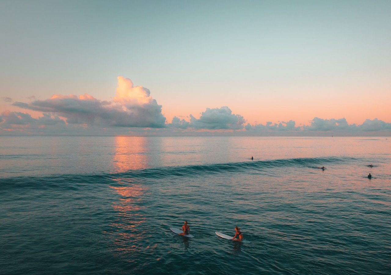 after work social club surf