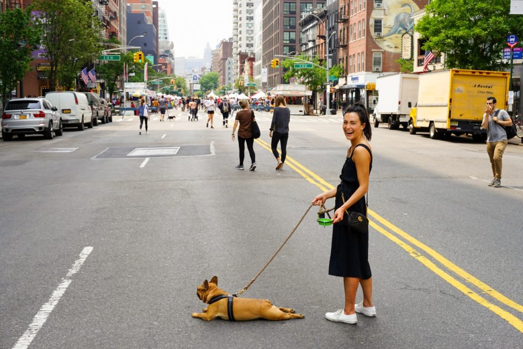 dog walking