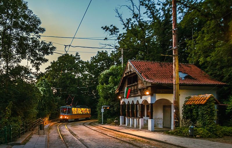 спирка вишнева